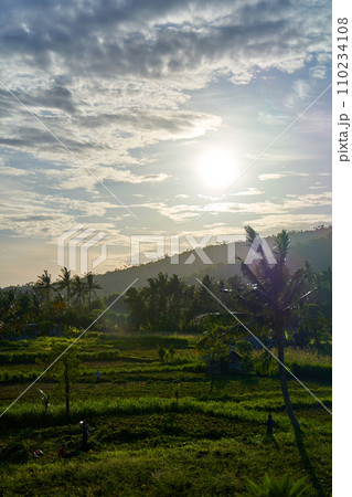 A view of tropical mountains and rice fields with palm trees on a sunny day. A view of tropical mountains and rice fields with palm trees on a sunny day. 110234108
