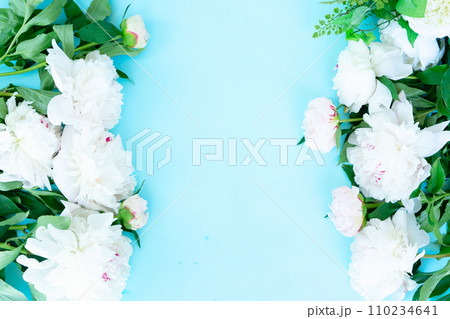 Fresh peony flowers Fresh peony flowers 110234641