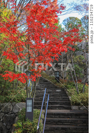 秋の松風園 秋の松風園 110234719