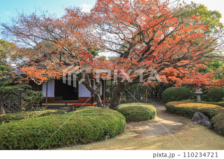 秋の松風園 秋の松風園 110234721