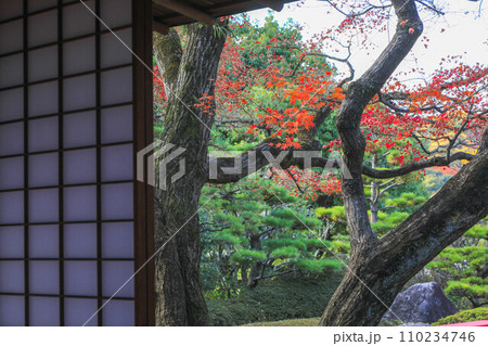秋の松風園 110234746