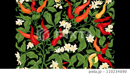 Hot chilly pepper plant with fruits and flowers. 110234890