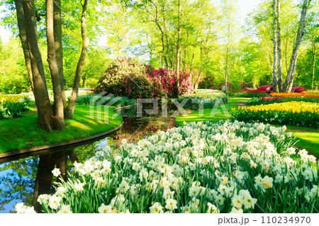 fresh lawn with flowers 110234970