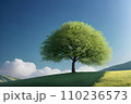 一本の木　丘の上　晴天　1 110236573