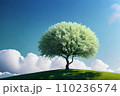 一本の木　丘の上　晴天　2 110236574