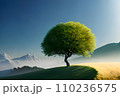 一本の木　丘の上　晴天　3 110236575
