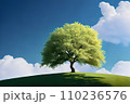 一本の木　丘の上　晴天　4 110236576