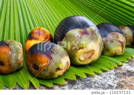 Toddy palm fruit or palmyra palm 110237133