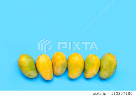 Tropical fruit, Mango on blue background. 110237186