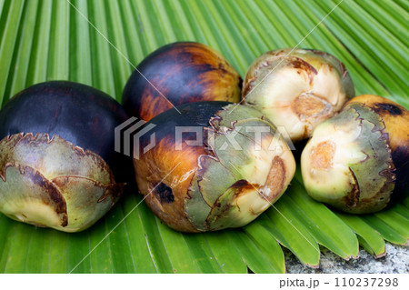 Toddy palm fruit or palmyra palm Toddy palm fruit or palmyra palm 110237298