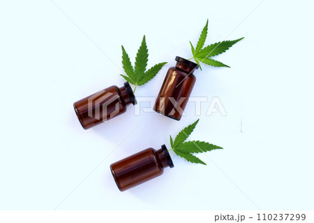 Green leaves of cannabis plant. Medical marijuana. Green leaves of cannabis plant. Medical marijuana. 110237299