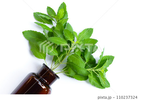 Holy basil leaves in bottle on white background. Holy basil leaves in bottle on white background. 110237324