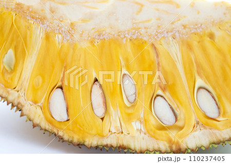 Ripe Jackfruit isolated on white background. Ripe Jackfruit isolated on white background. 110237405