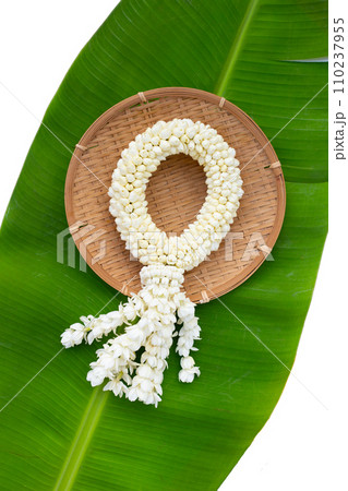 Thai white jasmine flower garland Thai white jasmine flower garland 110237955