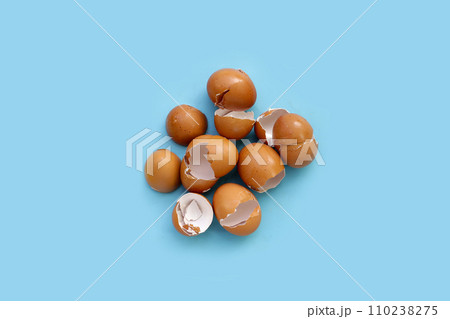 Egg shell on blue background. 110238275