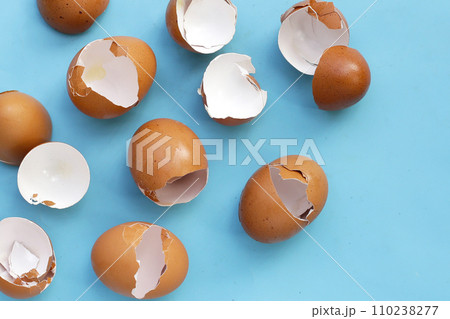 Egg shell on blue background. Egg shell on blue background. 110238277