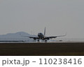 着陸する飛行機（B737-800） 110238416