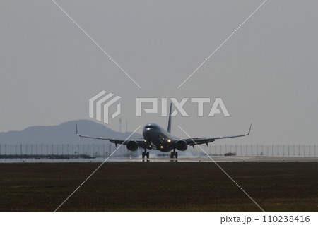 着陸する飛行機（B737-800） 110238416