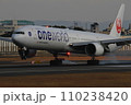 着陸する飛行機（B777-300） 110238420