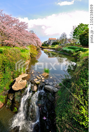 《愛知県》春の名古屋市守山区白沢渓谷の滝と桜並木 《愛知県》春の名古屋市守山区白沢渓谷の滝と桜並木 110238609