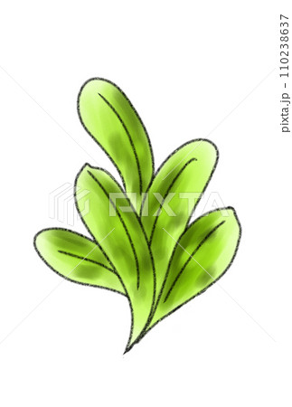 春の七草 春の七草 110238637