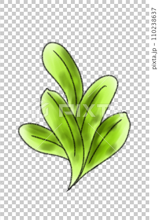 春の七草 春の七草 110238637