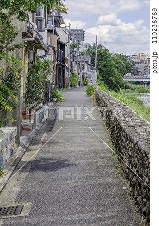 京都の鴨川沿いの道 京都の鴨川沿いの道 110238789