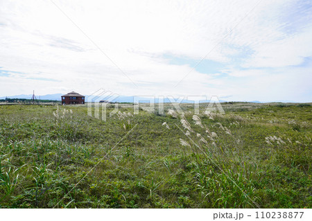 はまなすの丘公園(北海道石狩市) はまなすの丘公園(北海道石狩市) 110238877