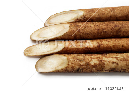 Burdock Root (Gobo) on white background. 110238884