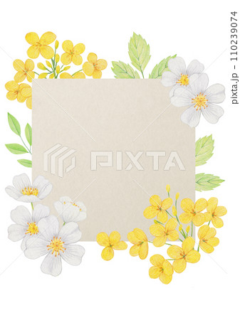 Colored pencil drawing of yellow and white flowers. 110239074