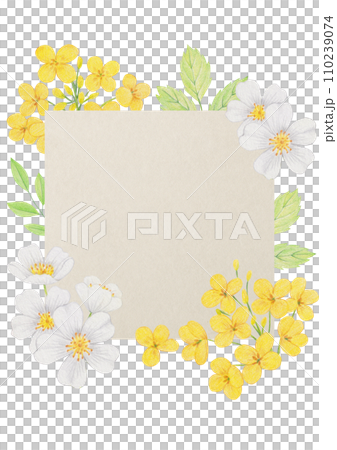 Colored pencil drawing of yellow and white flowers. 110239074