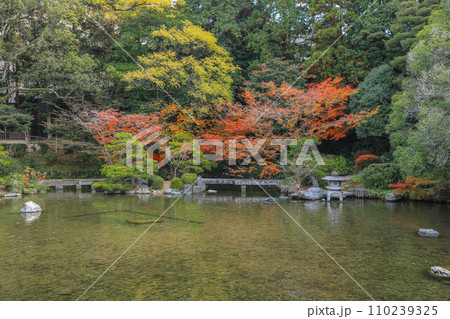 秋の友泉亭 秋の友泉亭 110239325