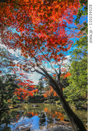 秋の友泉亭 110239328