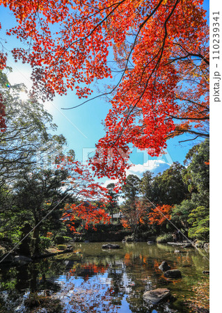 秋の友泉亭 110239341