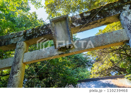 伯耆一ノ宮倭文神社 鳥居 鳥取県東伯郡湯梨浜町 伯耆一ノ宮倭文神社 鳥居 鳥取県東伯郡湯梨浜町 110239468