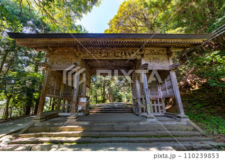 伯耆一ノ宮倭文神社 随身門 鳥取県東伯郡湯梨浜町 伯耆一ノ宮倭文神社 随身門 鳥取県東伯郡湯梨浜町 110239853