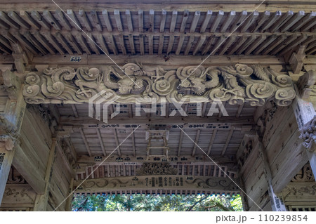 伯耆一ノ宮倭文神社　随身門　鳥取県東伯郡湯梨浜町 110239854