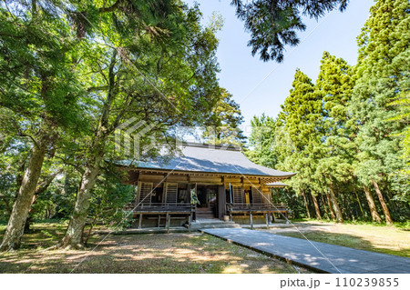 伯耆一ノ宮倭文神社 拝殿 鳥取県東伯郡湯梨浜町 伯耆一ノ宮倭文神社 拝殿 鳥取県東伯郡湯梨浜町 110239855