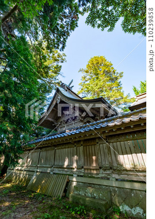 伯耆一ノ宮倭文神社　本殿　鳥取県東伯郡湯梨浜町 110239858