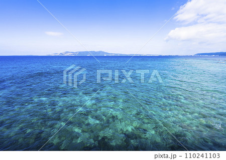 ブセナ海中公園 海中展望塔から見た名護市街地方面の風景 沖縄県名護市 ブセナ海中公園 海中展望塔から見た名護市街地方面の風景 沖縄県名護市 110241103
