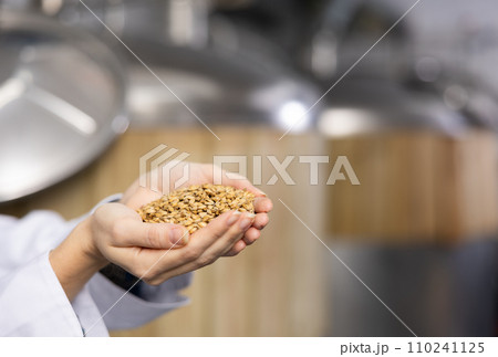 Barley in female palms close-up against the background of brewery 110241125