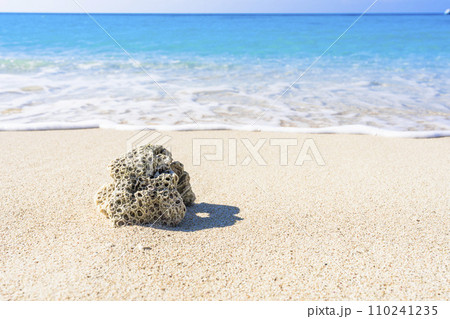 ブセナ海中公園の白い砂浜と青い海　流れ着いたサンゴ　沖縄県名護市 110241235