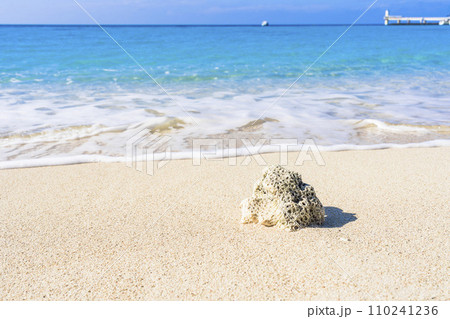 ブセナ海中公園の白い砂浜と青い海　流れ着いたサンゴ　沖縄県名護市 110241236