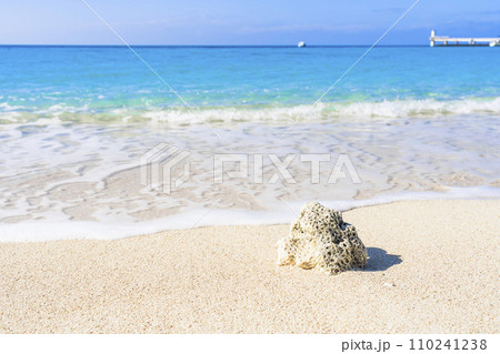 ブセナ海中公園の白い砂浜と青い海 流れ着いたサンゴ 沖縄県名護市 ブセナ海中公園の白い砂浜と青い海 流れ着いたサンゴ 沖縄県名護市 110241238