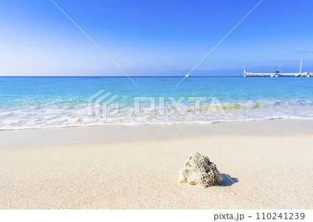 ブセナ海中公園の白い砂浜と青い海　流れ着いたサンゴ　沖縄県名護市 110241239