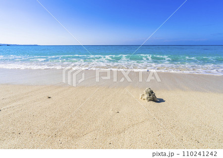 ブセナ海中公園の白い砂浜と青い海 流れ着いたサンゴ 沖縄県名護市 ブセナ海中公園の白い砂浜と青い海 流れ着いたサンゴ 沖縄県名護市 110241242