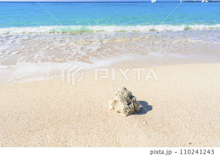 ブセナ海中公園の白い砂浜と青い海 流れ着いたサンゴ 沖縄県名護市 ブセナ海中公園の白い砂浜と青い海 流れ着いたサンゴ 沖縄県名護市 110241243