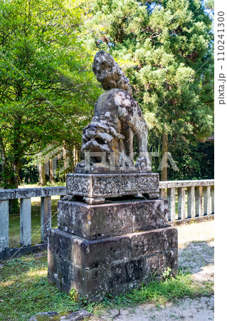 伯耆一ノ宮倭文神社 狛犬 鳥取県東伯郡湯梨浜町 伯耆一ノ宮倭文神社 狛犬 鳥取県東伯郡湯梨浜町 110241300