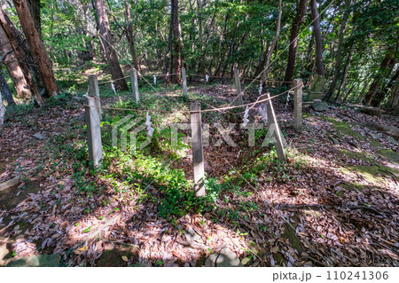 伯耆一ノ宮倭文神社　経塚　鳥取県東伯郡湯梨浜町 110241306