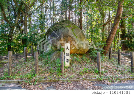 伯耆一ノ宮倭文神社 夫婦岩 鳥取県東伯郡湯梨浜町 伯耆一ノ宮倭文神社 夫婦岩 鳥取県東伯郡湯梨浜町 110241385